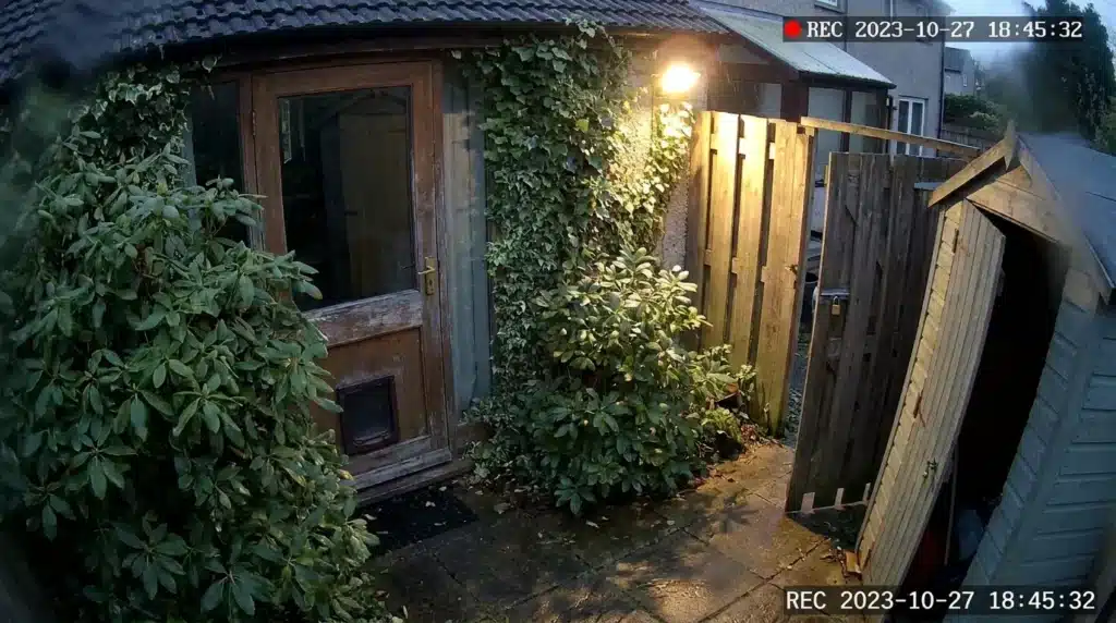 An exterior backyard patio door showing overgrown bushes hiding a dog flap installed near a lock.